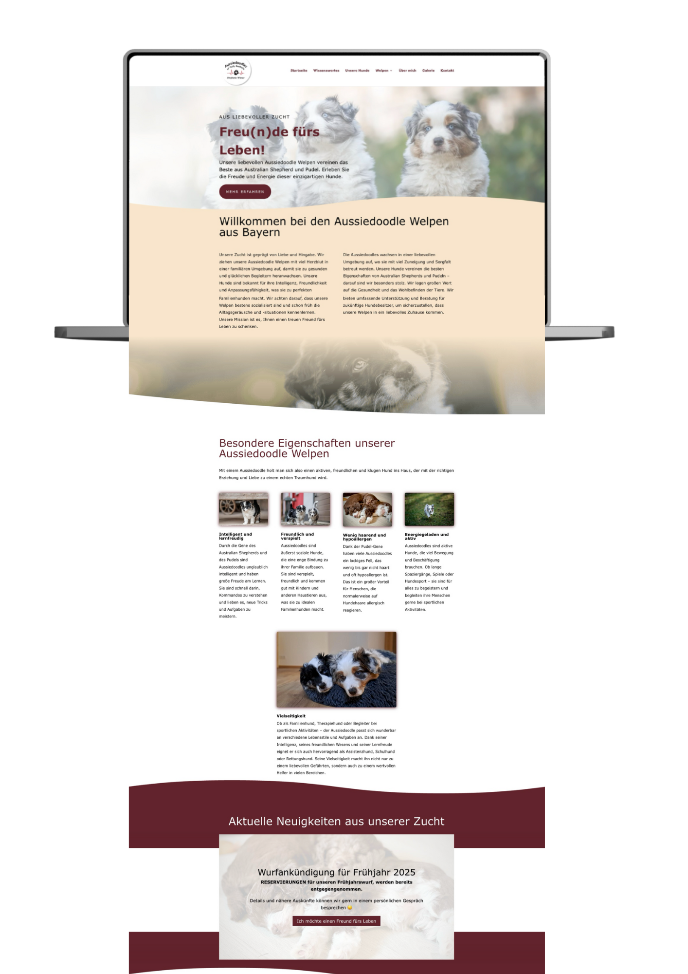 Website für eine Hundezucht