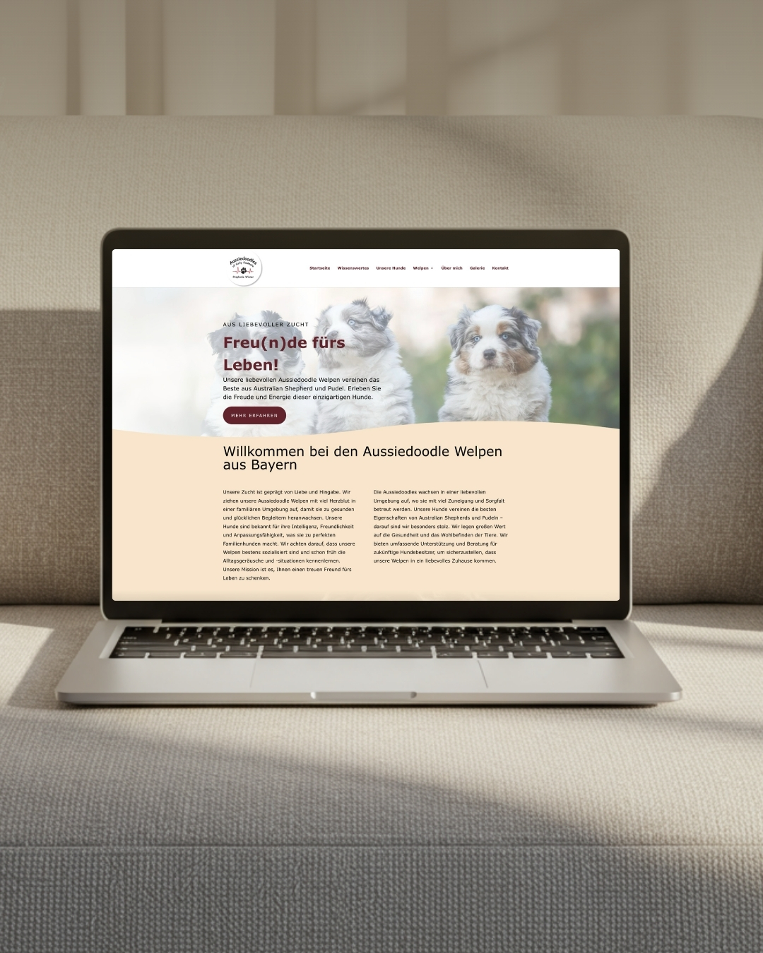 Aussiedoodle Website Neugestaltung