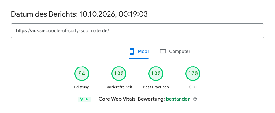 pagespeed_aussiedoodle_