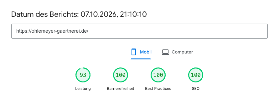pagespeed_ohlemeyer_karte